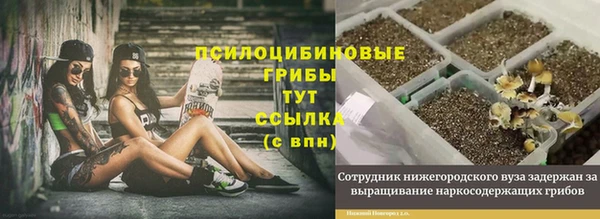 apvp Горняк